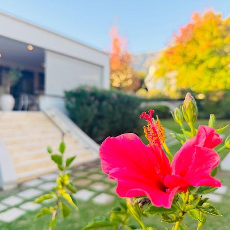 フランシュホーク レジデンス ヴィヴ ラ ヴィ Bed & Breakfast エクステリア 写真